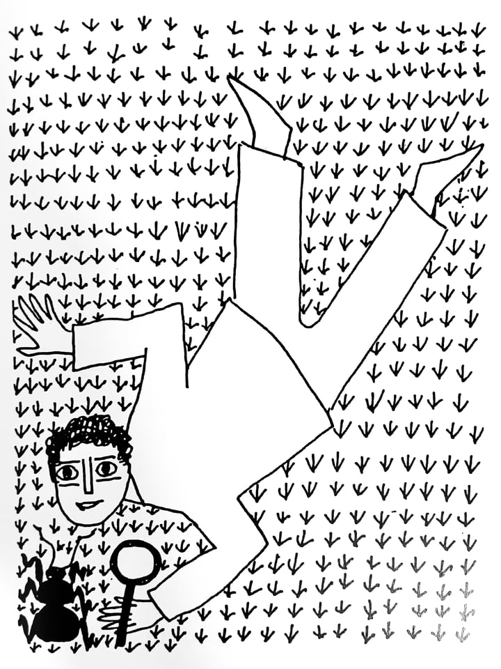 Polarisation der Aufmerksamkeit